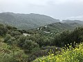 IMG_7910