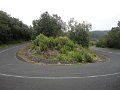 DSC07354