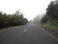 DSC07357