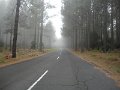 DSC07358