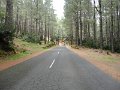 DSC07360