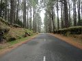 DSC07361
