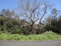 DSC07367