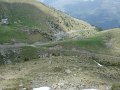 Gavia-Bormio-3