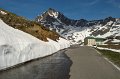 Gavia-Ponte-23