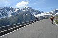 Gavia-Ponte-9