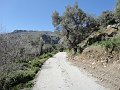 DSC09599