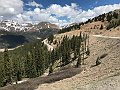 IMG_8826