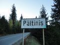 paltinis-13