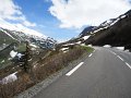 petit-saint-bernard-19