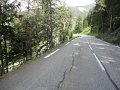 petit-saint-bernard-7