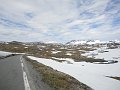 sognefjellet-10