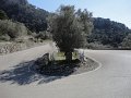 Soller-8