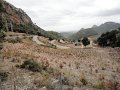 soller-10