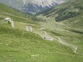 DSC04506