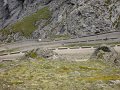 stelvio-prato-38