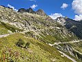 IMG_4153