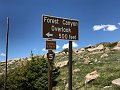 IMG_9202