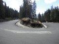 DSC04731