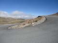 DSC04798
