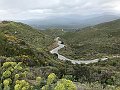 IMG_7966