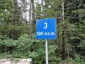 DSC05881